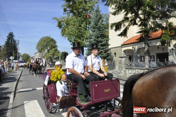 Zdjęcie w galerii na portalu naszraciborz.pl: Dożynki Powiatowe 2016. KORNOWAC - mała gmina z długim korowodem wiadomości z regionu