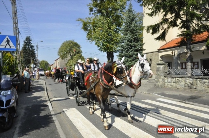 Zdjęcie w galerii na portalu naszraciborz.pl: Dożynki Powiatowe 2016. KORNOWAC - mała gmina z długim korowodem wiadomości z regionu