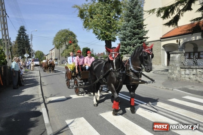 Zdjęcie w galerii na portalu naszraciborz.pl: Dożynki Powiatowe 2016. KORNOWAC - mała gmina z długim korowodem wiadomości z regionu