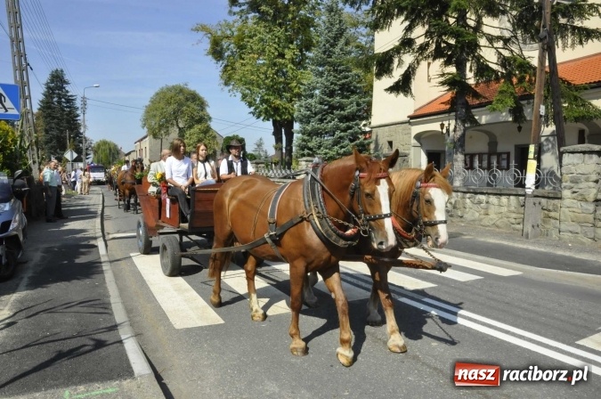 Zdjęcie w galerii na portalu naszraciborz.pl: Dożynki Powiatowe 2016. KORNOWAC - mała gmina z długim korowodem wiadomości z regionu