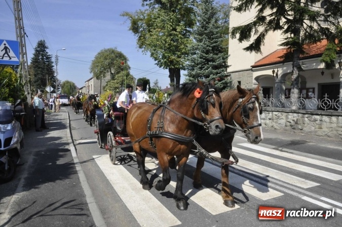 Zdjęcie w galerii na portalu naszraciborz.pl: Dożynki Powiatowe 2016. KORNOWAC - mała gmina z długim korowodem wiadomości z regionu
