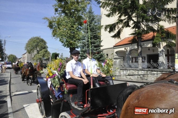 Zdjęcie w galerii na portalu naszraciborz.pl: Dożynki Powiatowe 2016. KORNOWAC - mała gmina z długim korowodem wiadomości z regionu