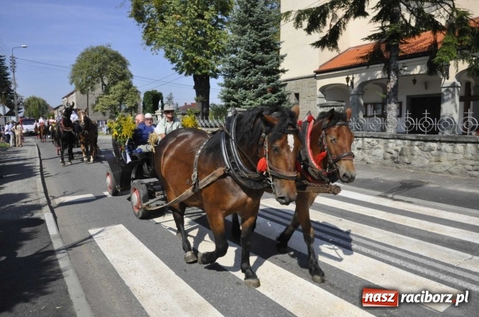 Zdjęcie w galerii na portalu naszraciborz.pl: Dożynki Powiatowe 2016. KORNOWAC - mała gmina z długim korowodem wiadomości z regionu