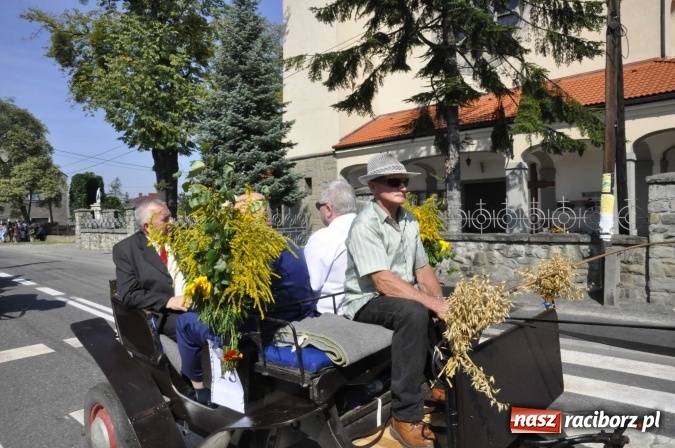 Zdjęcie w galerii na portalu naszraciborz.pl: Dożynki Powiatowe 2016. KORNOWAC - mała gmina z długim korowodem wiadomości z regionu