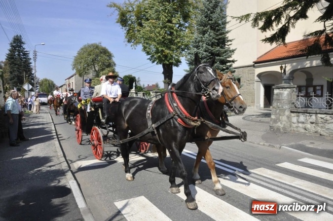 Zdjęcie w galerii na portalu naszraciborz.pl: Dożynki Powiatowe 2016. KORNOWAC - mała gmina z długim korowodem wiadomości z regionu