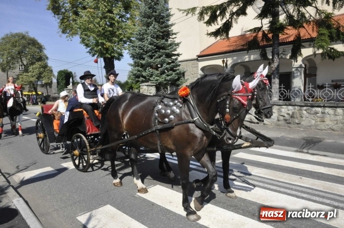 Zdjęcie w galerii na portalu naszraciborz.pl: Dożynki Powiatowe 2016. KORNOWAC - mała gmina z długim korowodem wiadomości z regionu