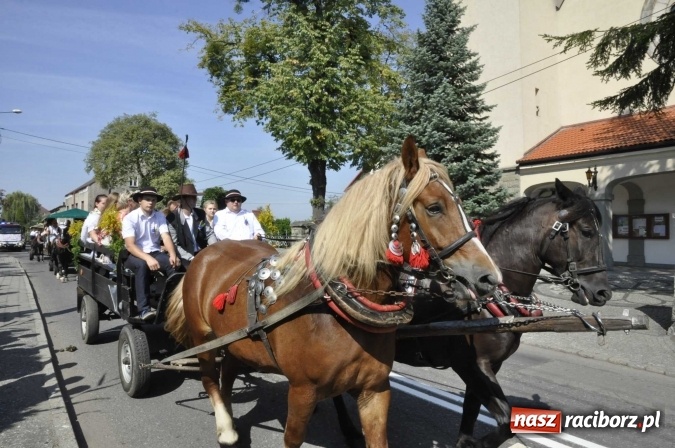 Zdjęcie w galerii na portalu naszraciborz.pl: Dożynki Powiatowe 2016. KORNOWAC - mała gmina z długim korowodem wiadomości z regionu