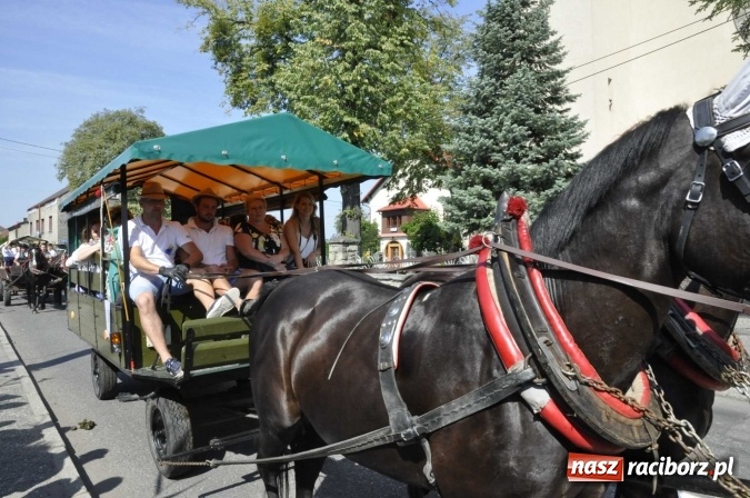 Zdjęcie w galerii na portalu naszraciborz.pl: Dożynki Powiatowe 2016. KORNOWAC - mała gmina z długim korowodem wiadomości z regionu