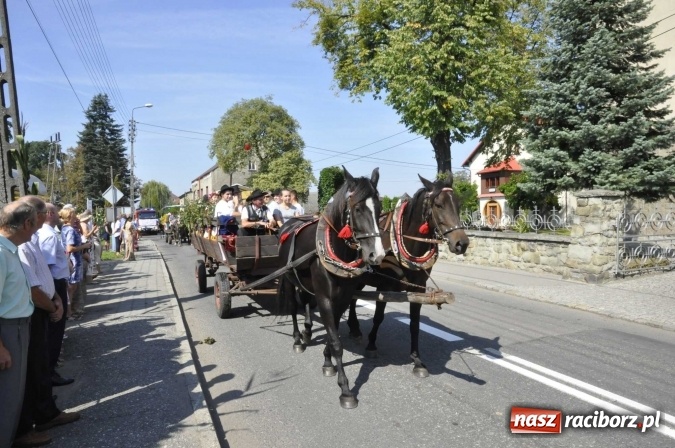 Zdjęcie w galerii na portalu naszraciborz.pl: Dożynki Powiatowe 2016. KORNOWAC - mała gmina z długim korowodem wiadomości z regionu