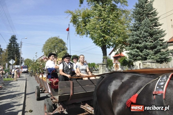 Zdjęcie w galerii na portalu naszraciborz.pl: Dożynki Powiatowe 2016. KORNOWAC - mała gmina z długim korowodem wiadomości z regionu