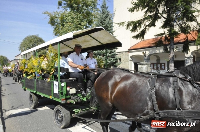 Zdjęcie w galerii na portalu naszraciborz.pl: Dożynki Powiatowe 2016. KORNOWAC - mała gmina z długim korowodem wiadomości z regionu