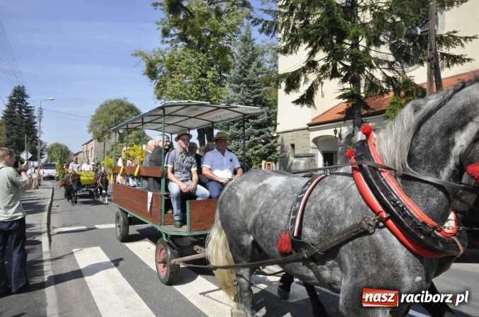 Zdjęcie w galerii na portalu naszraciborz.pl: Dożynki Powiatowe 2016. KORNOWAC - mała gmina z długim korowodem wiadomości z regionu