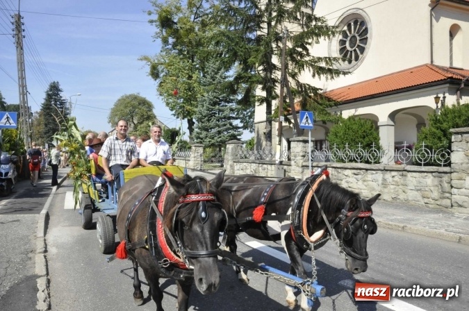 Zdjęcie w galerii na portalu naszraciborz.pl: Dożynki Powiatowe 2016. KORNOWAC - mała gmina z długim korowodem wiadomości z regionu