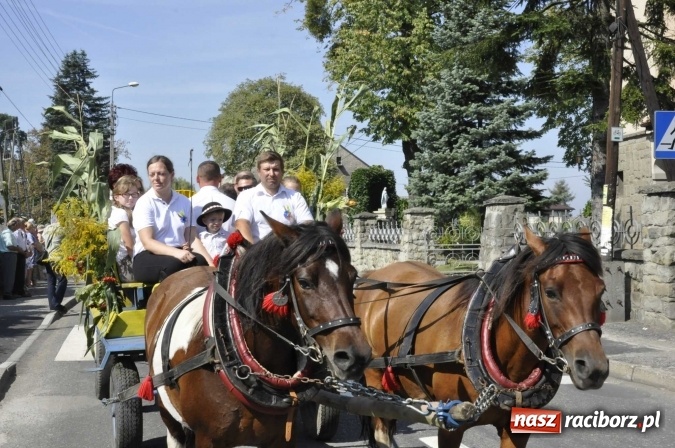 Zdjęcie w galerii na portalu naszraciborz.pl: Dożynki Powiatowe 2016. KORNOWAC - mała gmina z długim korowodem wiadomości z regionu