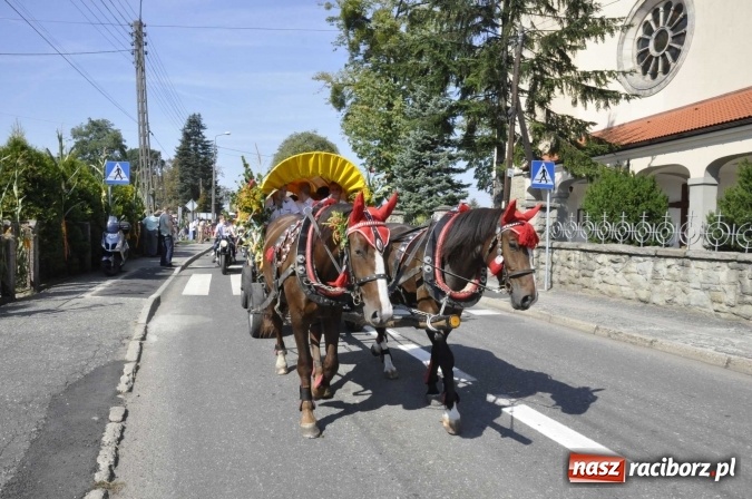 Zdjęcie w galerii na portalu naszraciborz.pl: Dożynki Powiatowe 2016. KORNOWAC - mała gmina z długim korowodem wiadomości z regionu