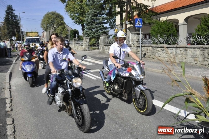 Zdjęcie w galerii na portalu naszraciborz.pl: Dożynki Powiatowe 2016. KORNOWAC - mała gmina z długim korowodem wiadomości z regionu