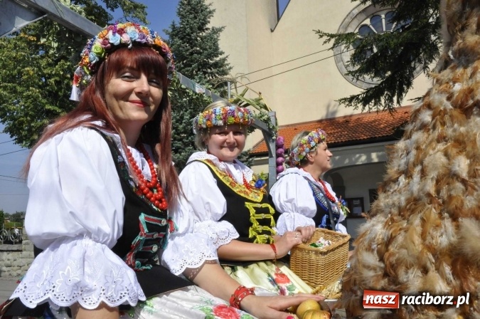 Zdjęcie w galerii na portalu naszraciborz.pl: Dożynki Powiatowe 2016. KORNOWAC - mała gmina z długim korowodem wiadomości z regionu