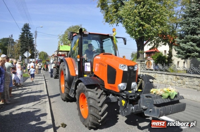 Zdjęcie w galerii na portalu naszraciborz.pl: Dożynki Powiatowe 2016. KORNOWAC - mała gmina z długim korowodem wiadomości z regionu