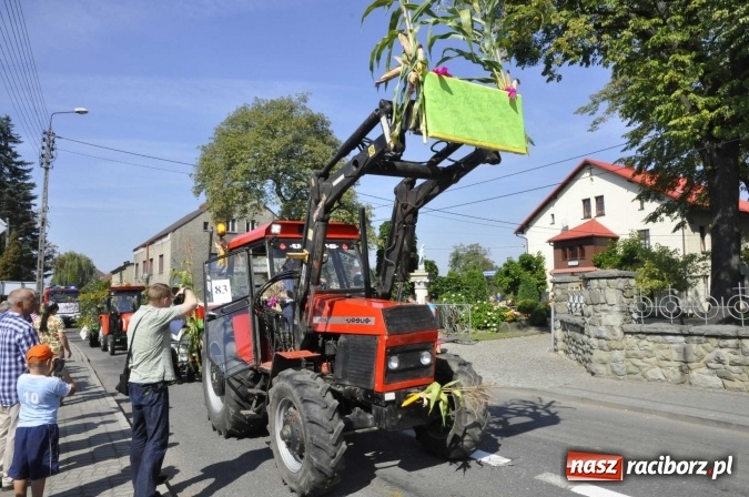 Zdjęcie w galerii na portalu naszraciborz.pl: Dożynki Powiatowe 2016. KORNOWAC - mała gmina z długim korowodem wiadomości z regionu