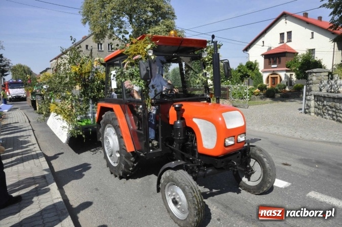 Zdjęcie w galerii na portalu naszraciborz.pl: Dożynki Powiatowe 2016. KORNOWAC - mała gmina z długim korowodem wiadomości z regionu