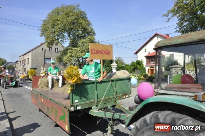 Zdjęcie w galerii na portalu naszraciborz.pl: Dożynki Powiatowe 2016. KORNOWAC - mała gmina z długim korowodem wiadomości z regionu