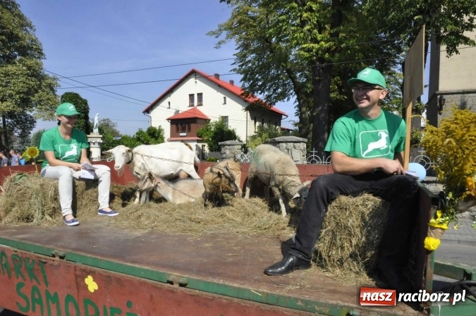 Zdjęcie w galerii na portalu naszraciborz.pl: Dożynki Powiatowe 2016. KORNOWAC - mała gmina z długim korowodem wiadomości z regionu