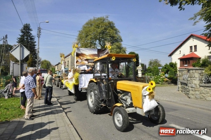 Zdjęcie w galerii na portalu naszraciborz.pl: Dożynki Powiatowe 2016. KORNOWAC - mała gmina z długim korowodem wiadomości z regionu