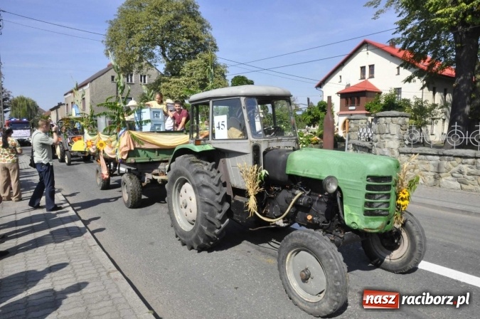 Zdjęcie w galerii na portalu naszraciborz.pl: Dożynki Powiatowe 2016. KORNOWAC - mała gmina z długim korowodem wiadomości z regionu