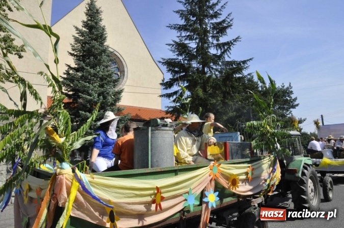 Zdjęcie w galerii na portalu naszraciborz.pl: Dożynki Powiatowe 2016. KORNOWAC - mała gmina z długim korowodem wiadomości z regionu