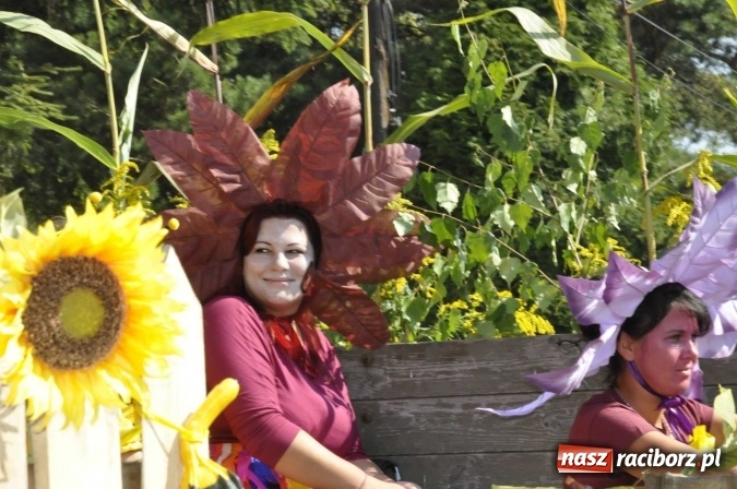 Zdjęcie w galerii na portalu naszraciborz.pl: Dożynki Powiatowe 2016. KORNOWAC - mała gmina z długim korowodem wiadomości z regionu