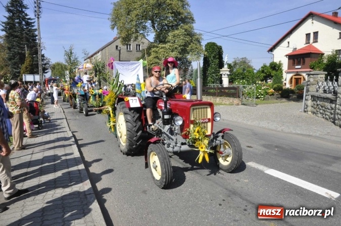 Zdjęcie w galerii na portalu naszraciborz.pl: Dożynki Powiatowe 2016. KORNOWAC - mała gmina z długim korowodem wiadomości z regionu