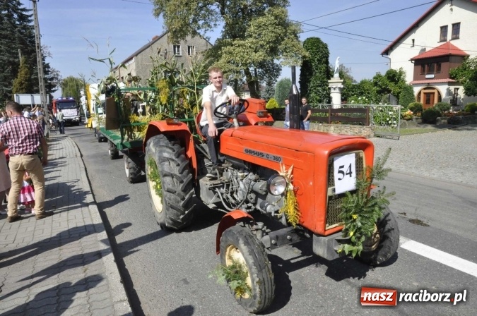 Zdjęcie w galerii na portalu naszraciborz.pl: Dożynki Powiatowe 2016. KORNOWAC - mała gmina z długim korowodem wiadomości z regionu