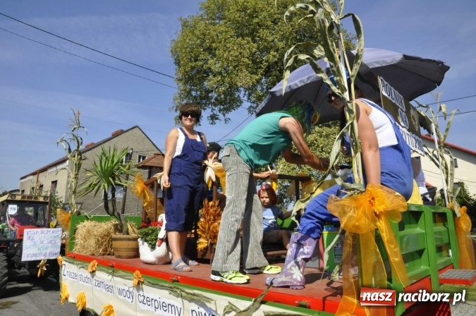 Zdjęcie w galerii na portalu naszraciborz.pl: Dożynki Powiatowe 2016. KORNOWAC - mała gmina z długim korowodem wiadomości z regionu
