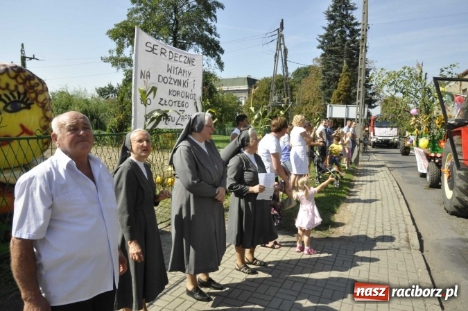 Zdjęcie w galerii na portalu naszraciborz.pl: Dożynki Powiatowe 2016. KORNOWAC - mała gmina z długim korowodem wiadomości z regionu