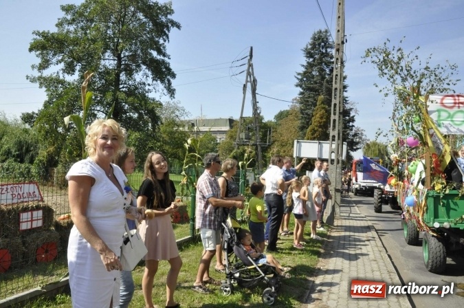 Zdjęcie w galerii na portalu naszraciborz.pl: Dożynki Powiatowe 2016. KORNOWAC - mała gmina z długim korowodem wiadomości z regionu