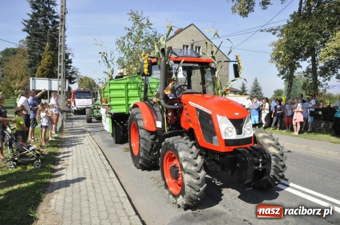 Zdjęcie w galerii na portalu naszraciborz.pl: Dożynki Powiatowe 2016. KORNOWAC - mała gmina z długim korowodem wiadomości z regionu