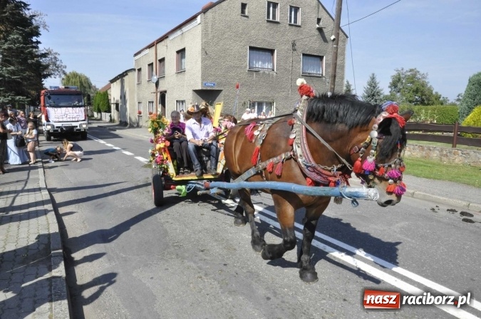 Zdjęcie w galerii na portalu naszraciborz.pl: Dożynki Powiatowe 2016. KORNOWAC - mała gmina z długim korowodem wiadomości z regionu