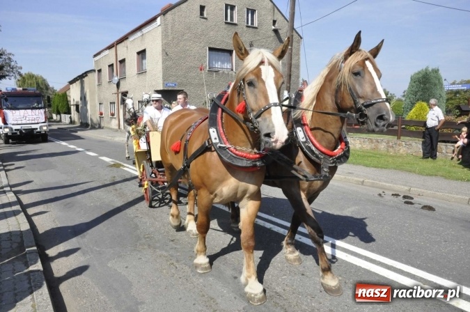 Zdjęcie w galerii na portalu naszraciborz.pl: Dożynki Powiatowe 2016. KORNOWAC - mała gmina z długim korowodem wiadomości z regionu