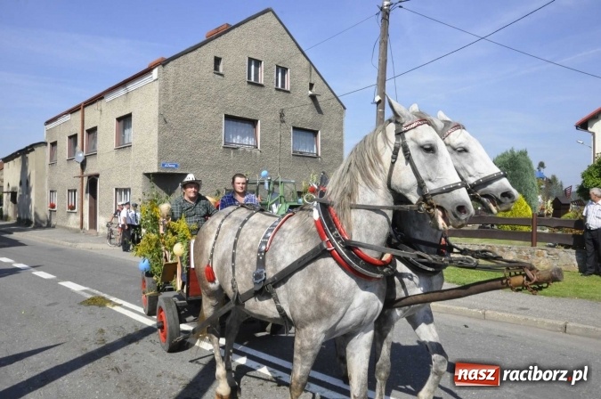 Zdjęcie w galerii na portalu naszraciborz.pl: Dożynki Powiatowe 2016. KORNOWAC - mała gmina z długim korowodem wiadomości z regionu
