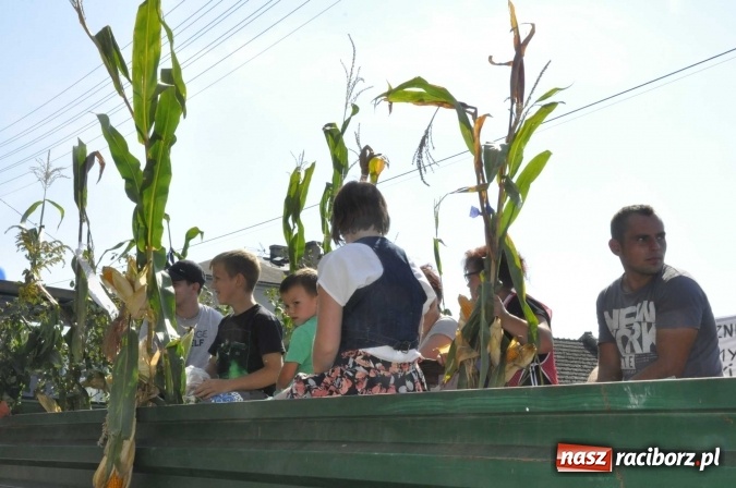 Zdjęcie w galerii na portalu naszraciborz.pl: Dożynki Powiatowe 2016. KORNOWAC - mała gmina z długim korowodem wiadomości z regionu
