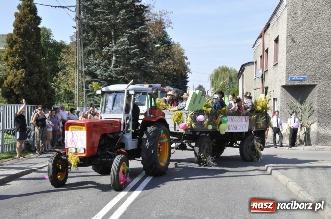Zdjęcie w galerii na portalu naszraciborz.pl: Dożynki Powiatowe 2016. KORNOWAC - mała gmina z długim korowodem wiadomości z regionu