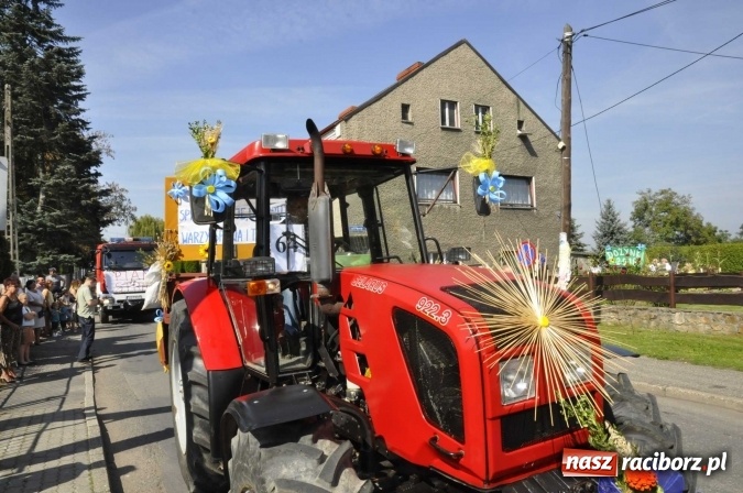 Zdjęcie w galerii na portalu naszraciborz.pl: Dożynki Powiatowe 2016. KORNOWAC - mała gmina z długim korowodem wiadomości z regionu