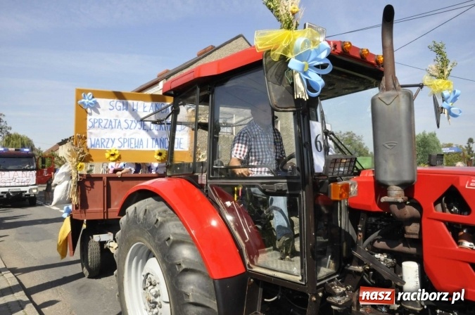 Zdjęcie w galerii na portalu naszraciborz.pl: Dożynki Powiatowe 2016. KORNOWAC - mała gmina z długim korowodem wiadomości z regionu