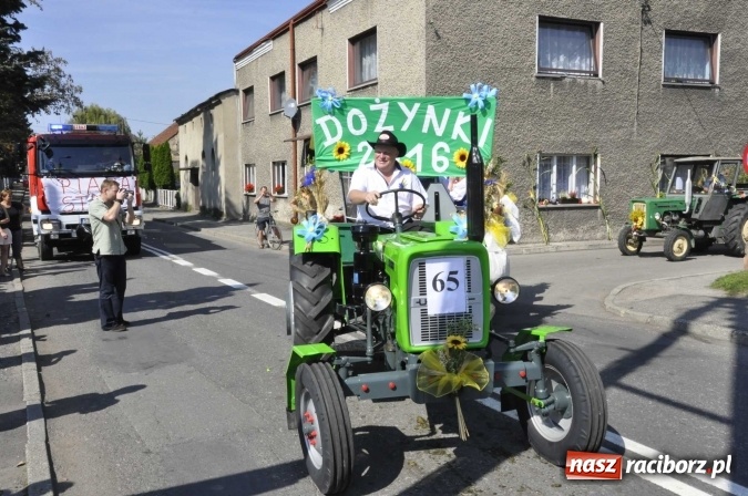 Zdjęcie w galerii na portalu naszraciborz.pl: Dożynki Powiatowe 2016. KORNOWAC - mała gmina z długim korowodem wiadomości z regionu