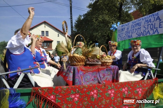 Zdjęcie w galerii na portalu naszraciborz.pl: Dożynki Powiatowe 2016. KORNOWAC - mała gmina z długim korowodem wiadomości z regionu
