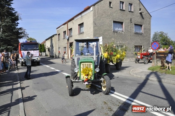 Zdjęcie w galerii na portalu naszraciborz.pl: Dożynki Powiatowe 2016. KORNOWAC - mała gmina z długim korowodem wiadomości z regionu