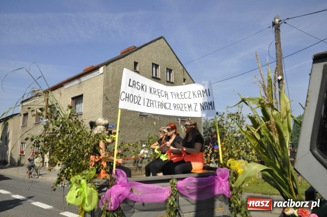 Zdjęcie w galerii na portalu naszraciborz.pl: Dożynki Powiatowe 2016. KORNOWAC - mała gmina z długim korowodem wiadomości z regionu