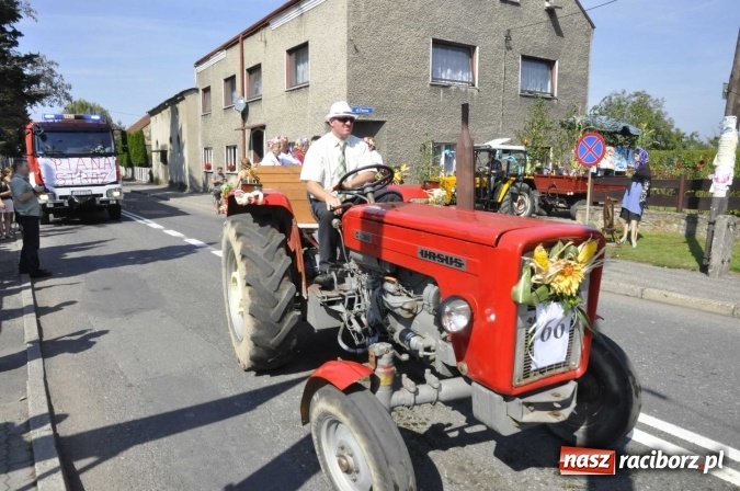 Zdjęcie w galerii na portalu naszraciborz.pl: Dożynki Powiatowe 2016. KORNOWAC - mała gmina z długim korowodem wiadomości z regionu