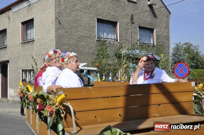 Zdjęcie w galerii na portalu naszraciborz.pl: Dożynki Powiatowe 2016. KORNOWAC - mała gmina z długim korowodem wiadomości z regionu