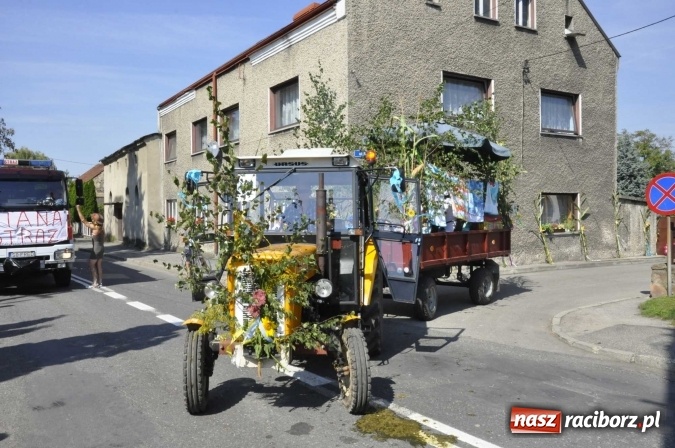 Zdjęcie w galerii na portalu naszraciborz.pl: Dożynki Powiatowe 2016. KORNOWAC - mała gmina z długim korowodem wiadomości z regionu